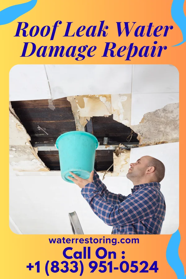 Roof Leak Water Damage Repair in Clearbrook, MN